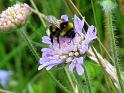 2011-06-13, Oelsen (42)